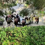 Gezellig Met Terras In Het