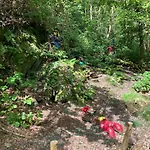 Gezellig Met Terras In Het * فريسه - سور - سيمويس