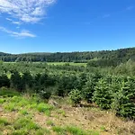 Appartement Gezellig Met Terras In Het