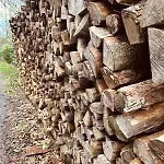 Gezellig Met Terras In Het Appartement