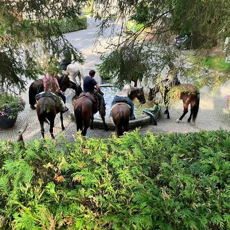 Gezellig Met Terras In Het