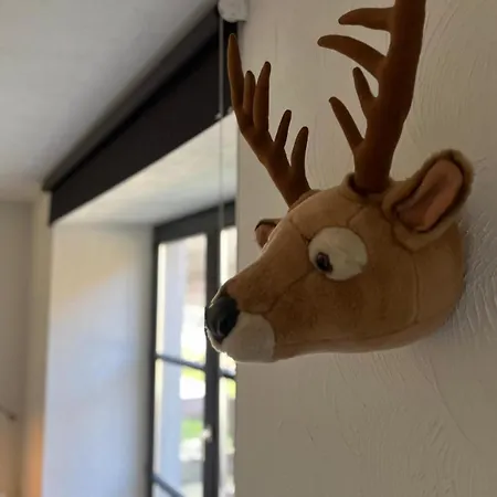 Apartmán Gezellig Met Terras In Het