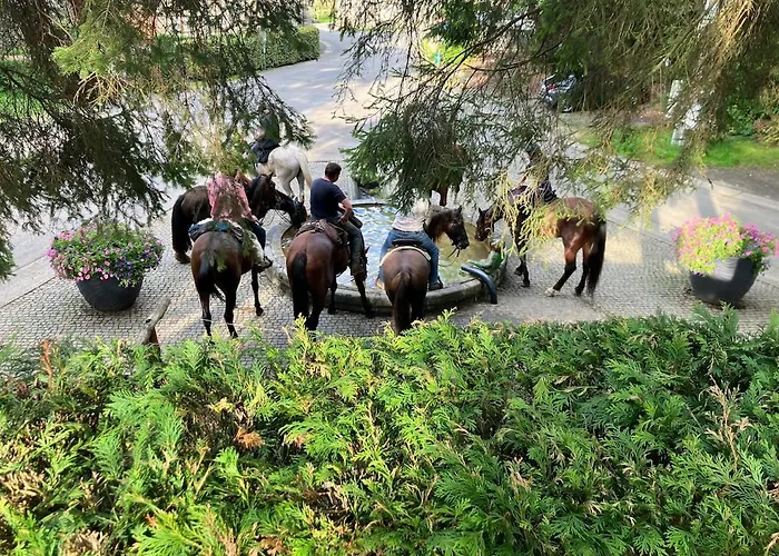 Gezellig Met Terras In Het