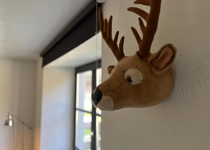 Apartment Gezellig Met Terras In Het