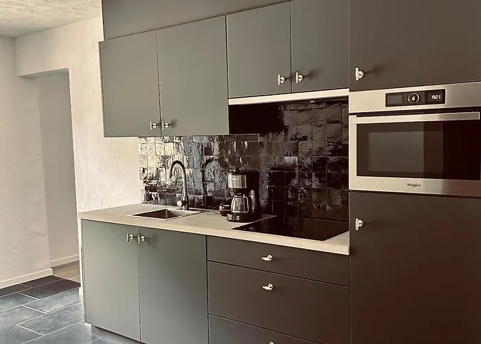 Gezellig Met Terras In Het Apartment *