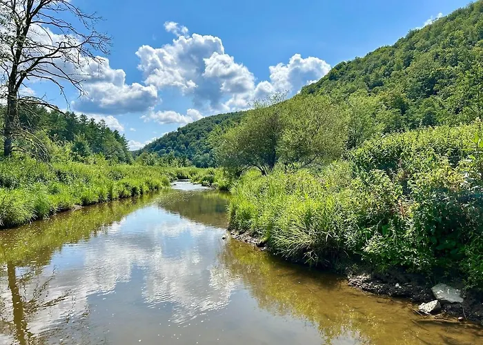 Gezellig Met Terras In Het *