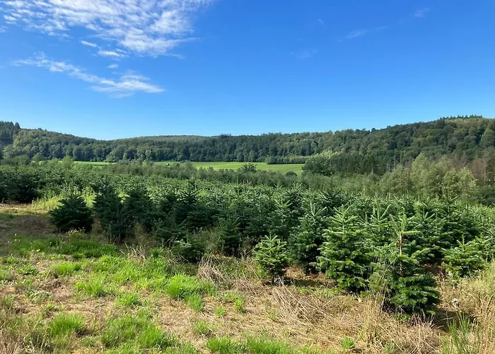 Apartment Gezellig Met Terras In Het