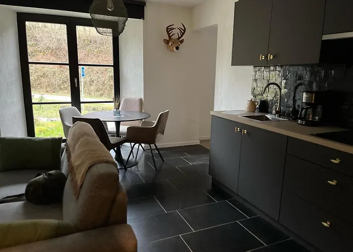 Apartment Gezellig Met Terras In Het Vresse-sur-Semois