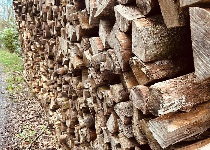 Gezellig Met Terras In Het Apartment